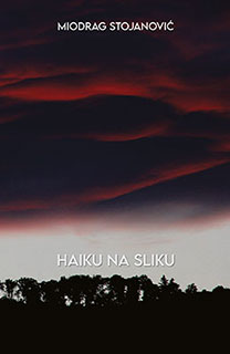 haiku na sliku